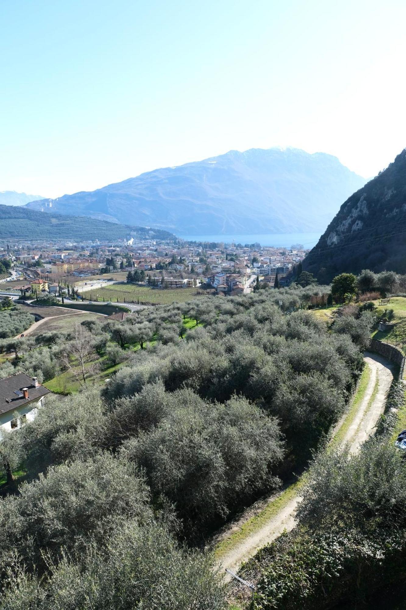 Casa Segantini - Panorama Pool Apartment Gavazzo Nuova Exterior foto